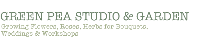 Green Pea Studio & Garden